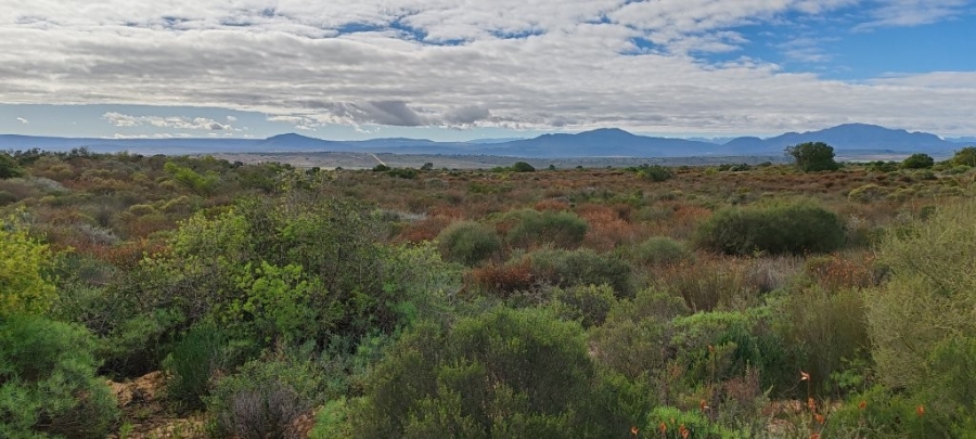 0 Bedroom Property for Sale in Redelinghuys Western Cape